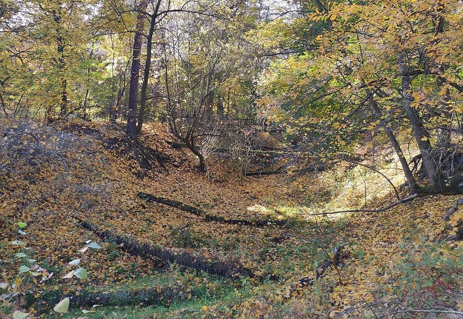 Wyschnięte koryto strumienia