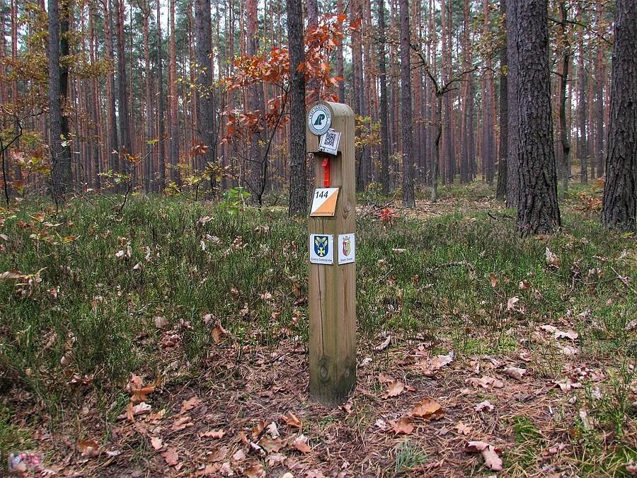 Stały punkt kontrolny InO w rezerwacie Bocianowskie Bagno