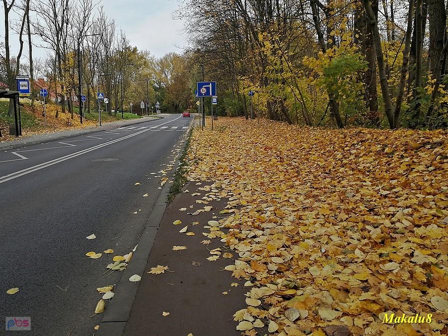 Znikająca ścieżka rowerowa.