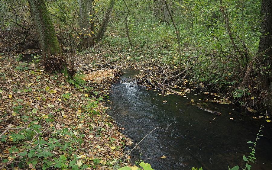 Struga Jeziorna