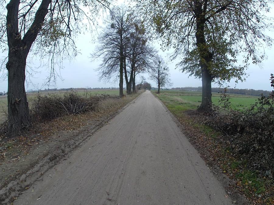 Droga polna