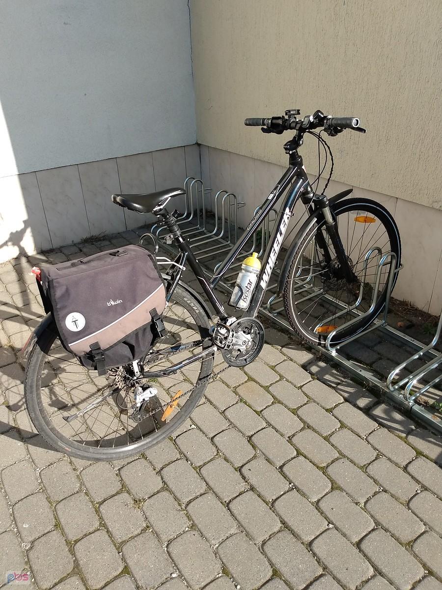 Czarnula na parkingu