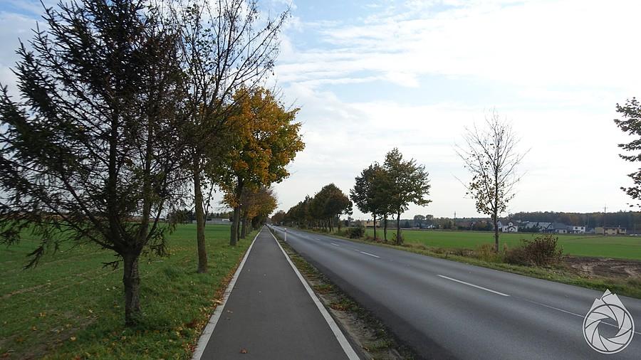 ścieżkowy wyjazd z Kościana