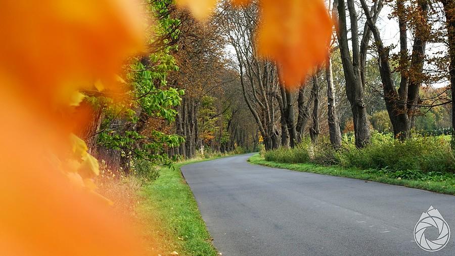 w Wielkopolsce są czasem zakręty