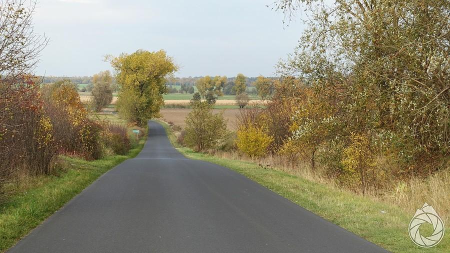najmocniejszy podjazd południowej Wielkopolski