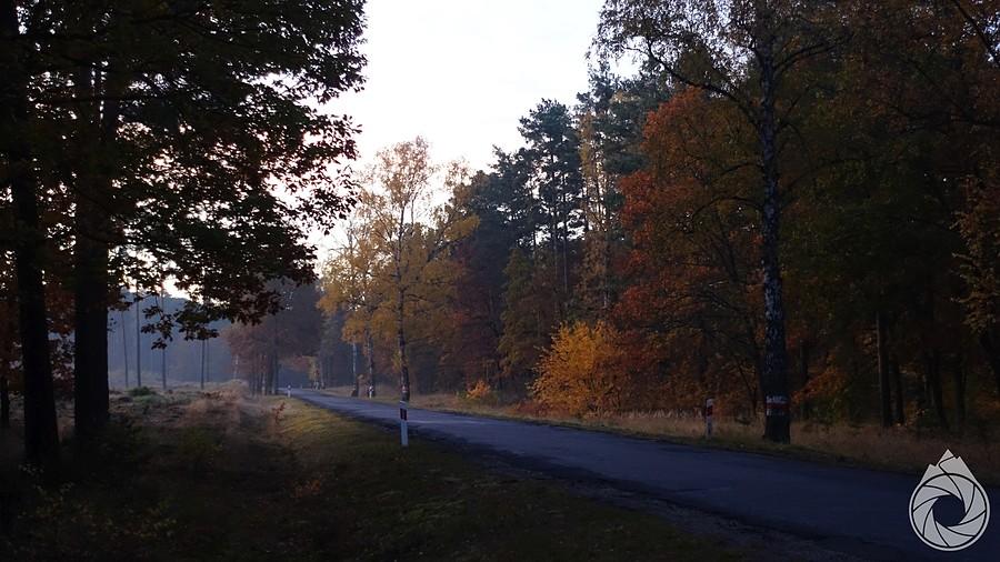 poranne drogi wzdłuż Odry