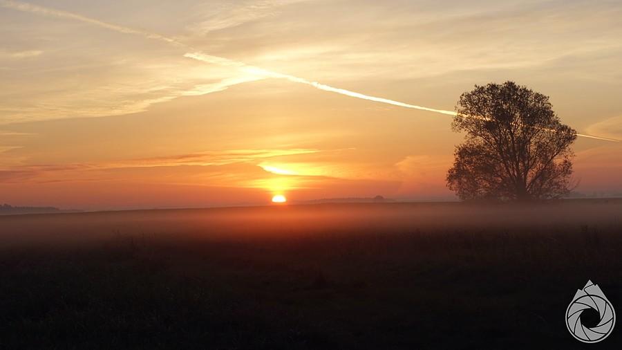 wschód słońca nad Odrą