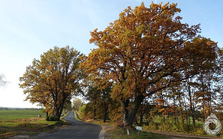 jesienne barwy północy Dolnego Śląska