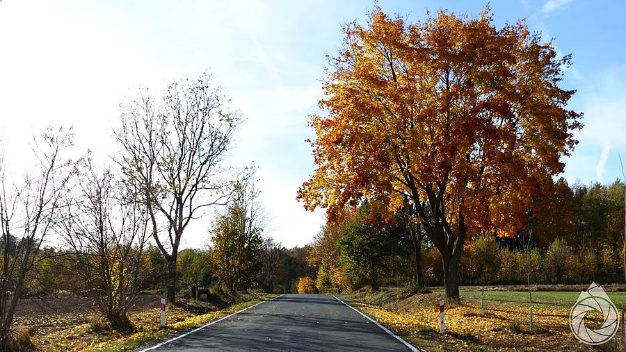 jesienny podjazd na Przełęcz Widok (Kapella)