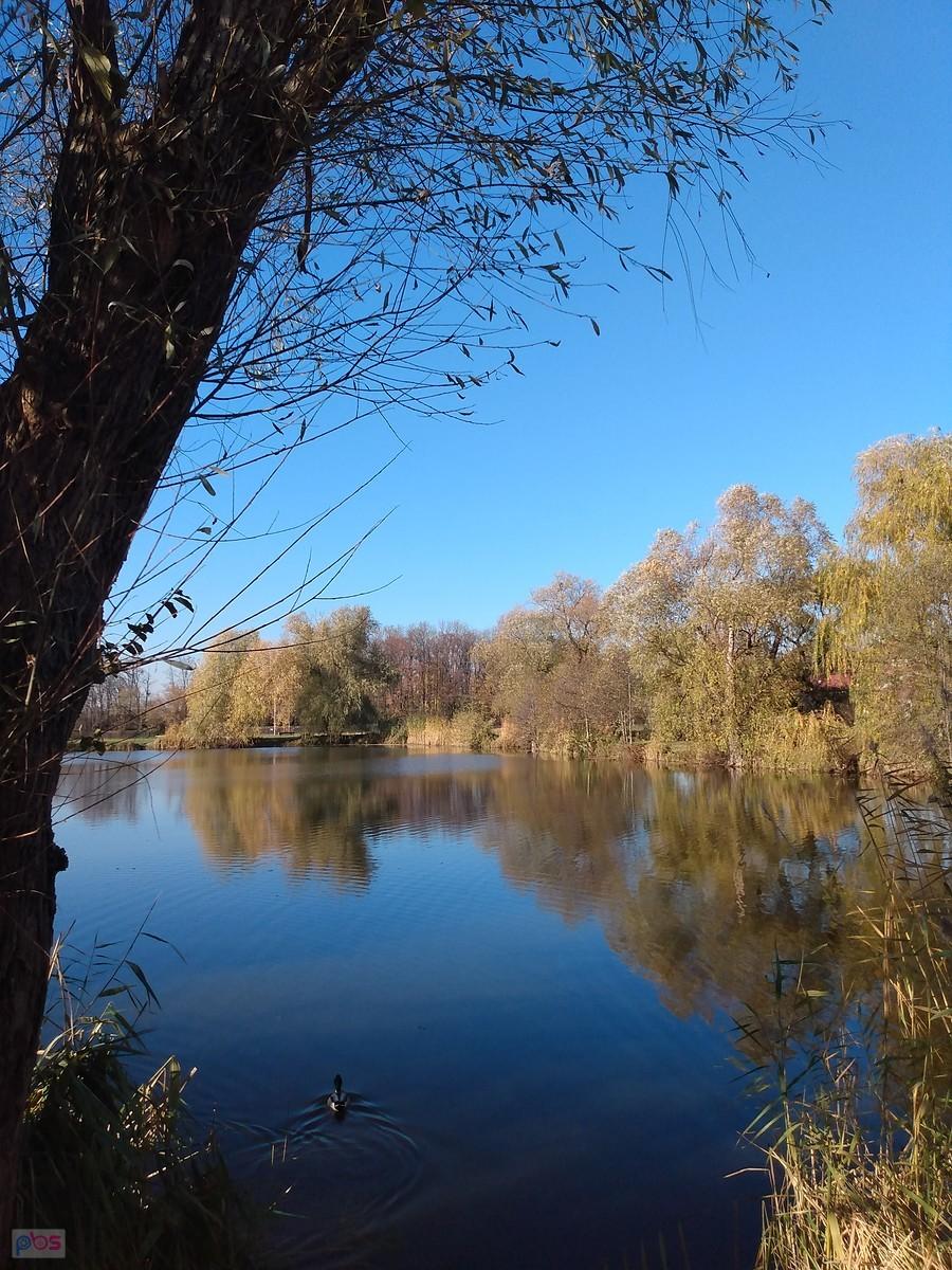 Staw w Zielonkach