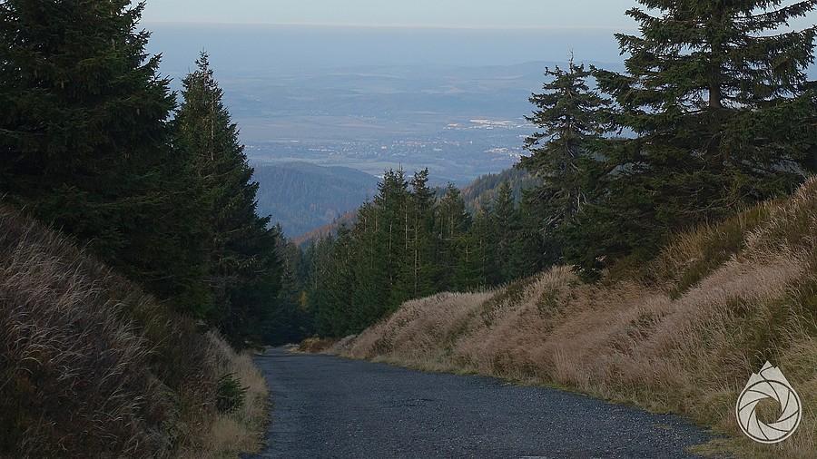Jelenia z góry podjazdu
