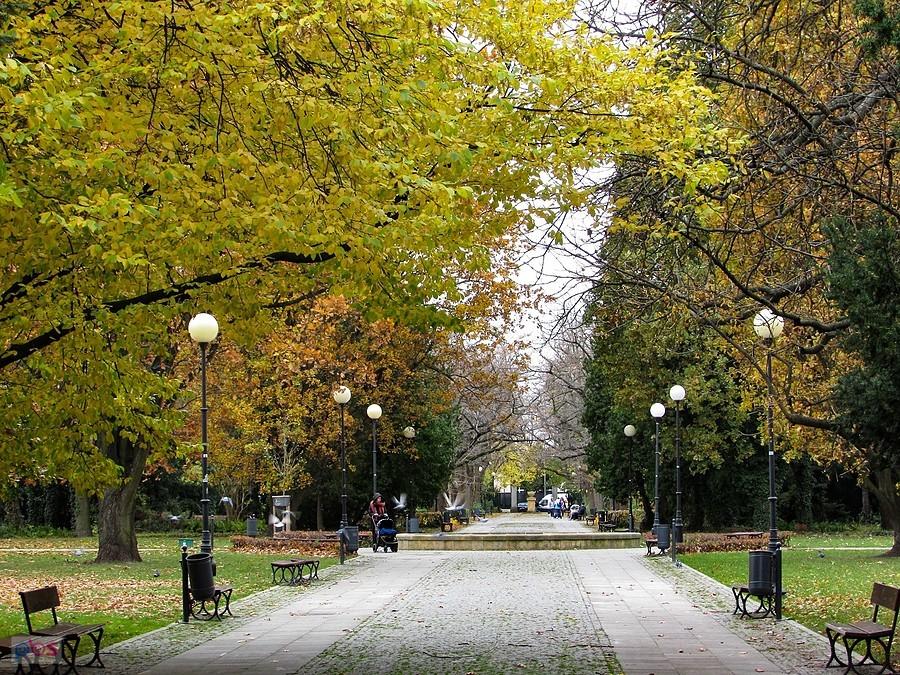 Park Dreszera