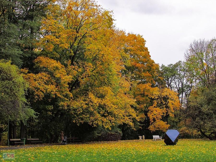 Park Królikarni