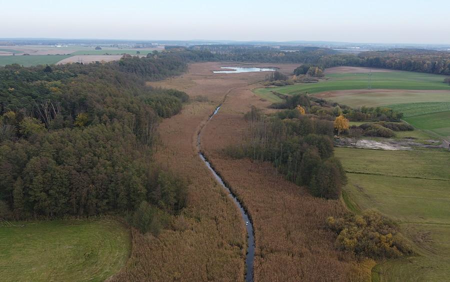 Samica Stęszewska, widok w stronę Bagien Trzcielińskich