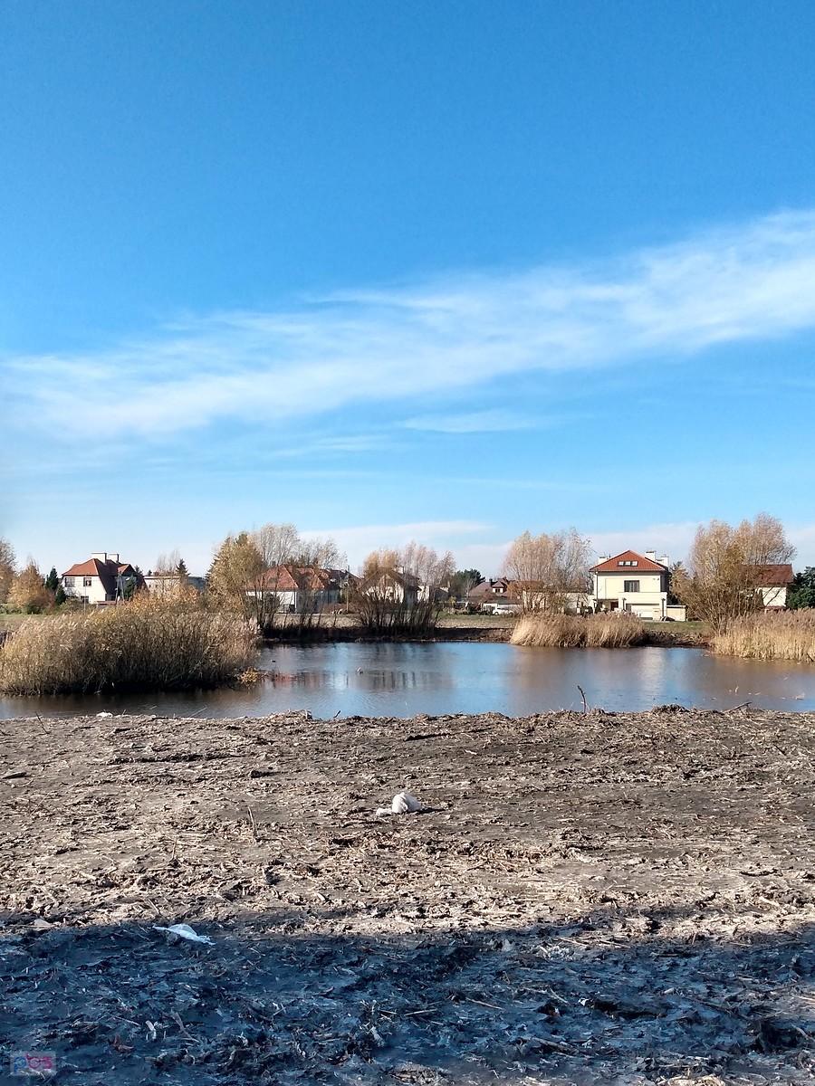 Staw w Bliznem Jasińskiego