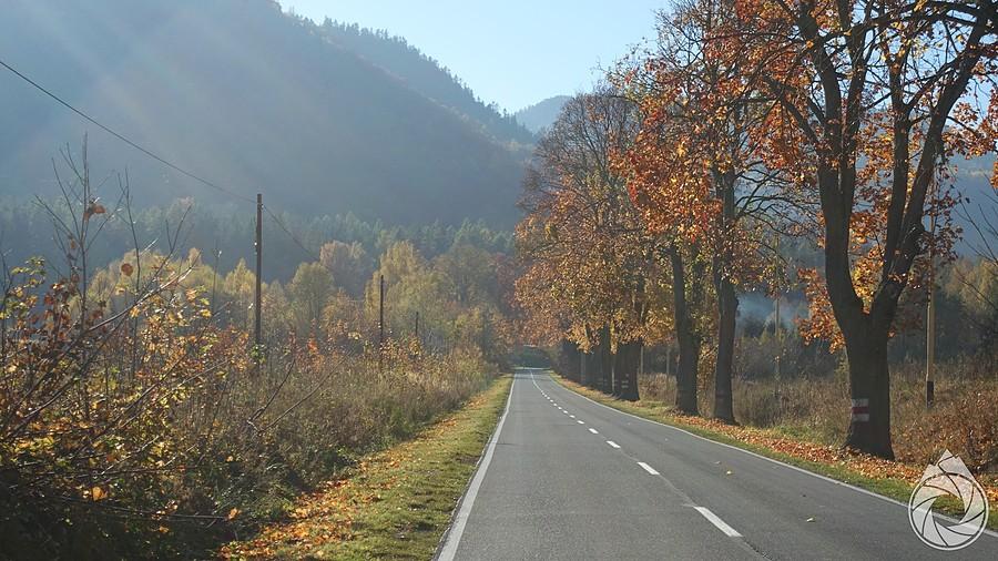 wyjazd w góry z Radkowa
