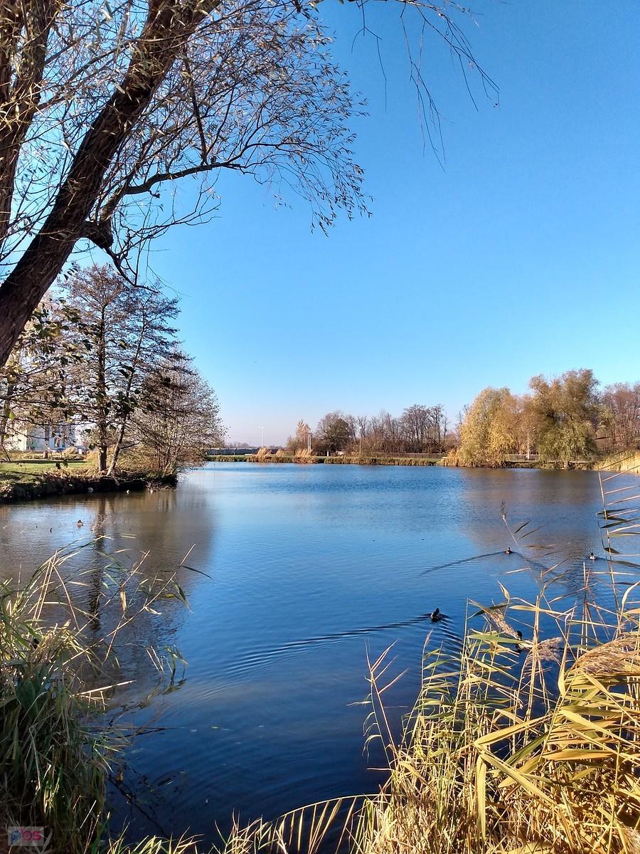 Staw w Zielonkach