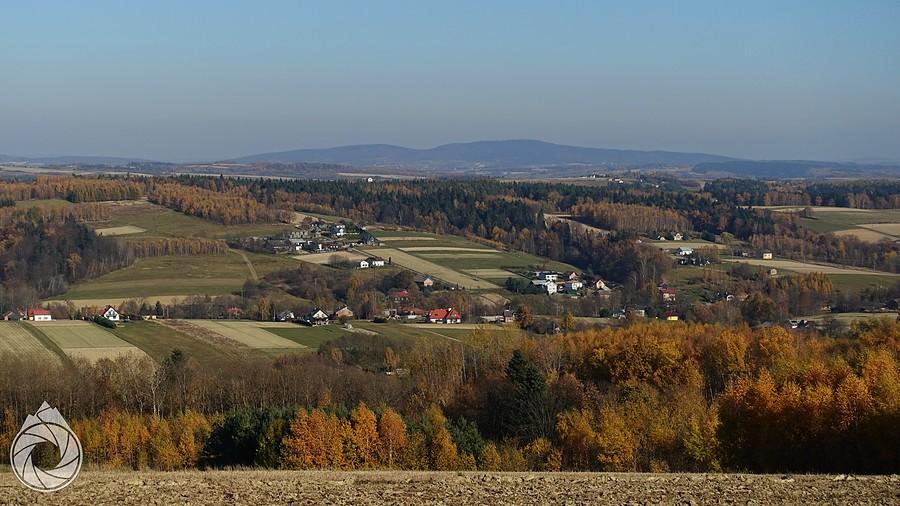 Liwocz z kolorkami