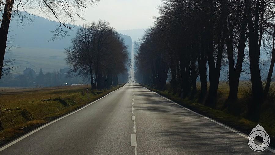 podmagurska prosta z Gładyszowa