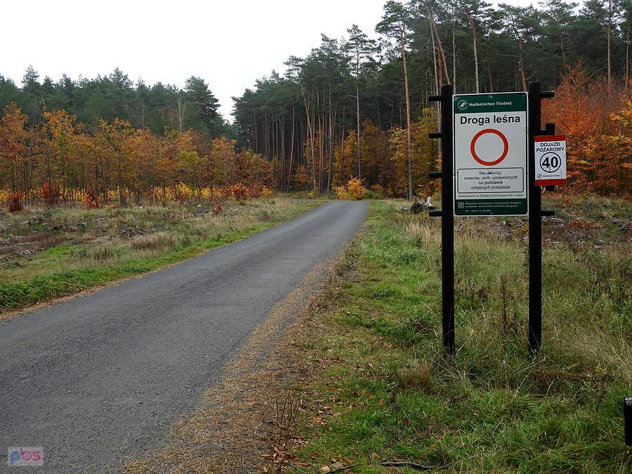 A tu zaczyna się leśna droga nr 40.