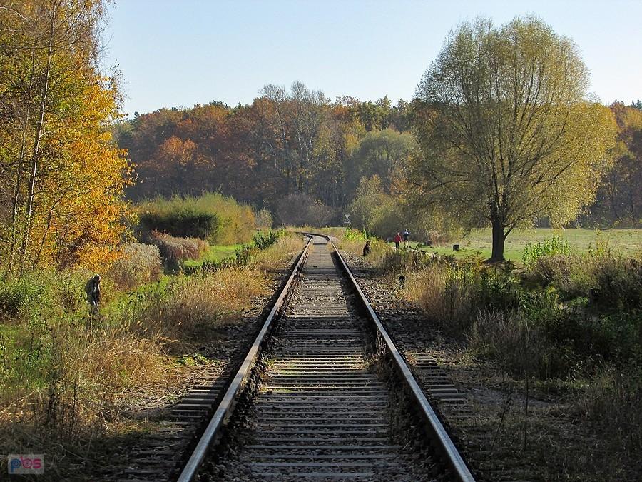 Bocznica prowadzi do bazy Metra Warszawskiego