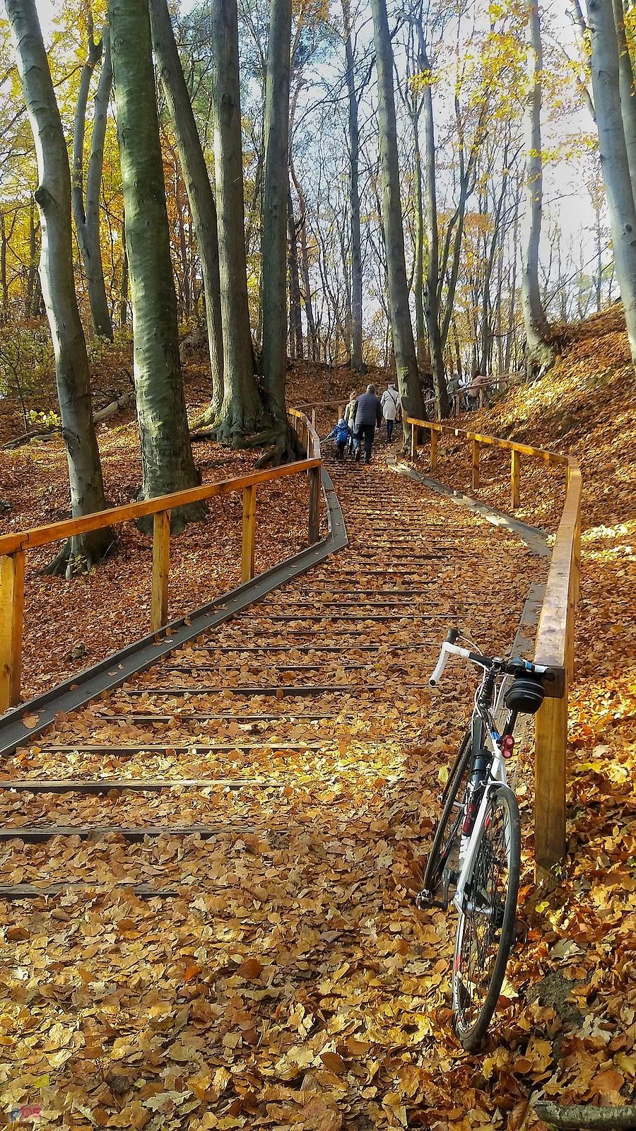 Kontynuacja ścieżki rowerowej w Orłowie