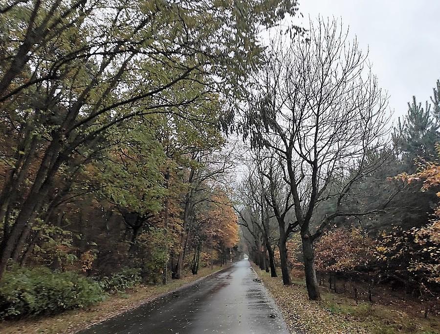 Dzisiejsze warunki do kręcenia