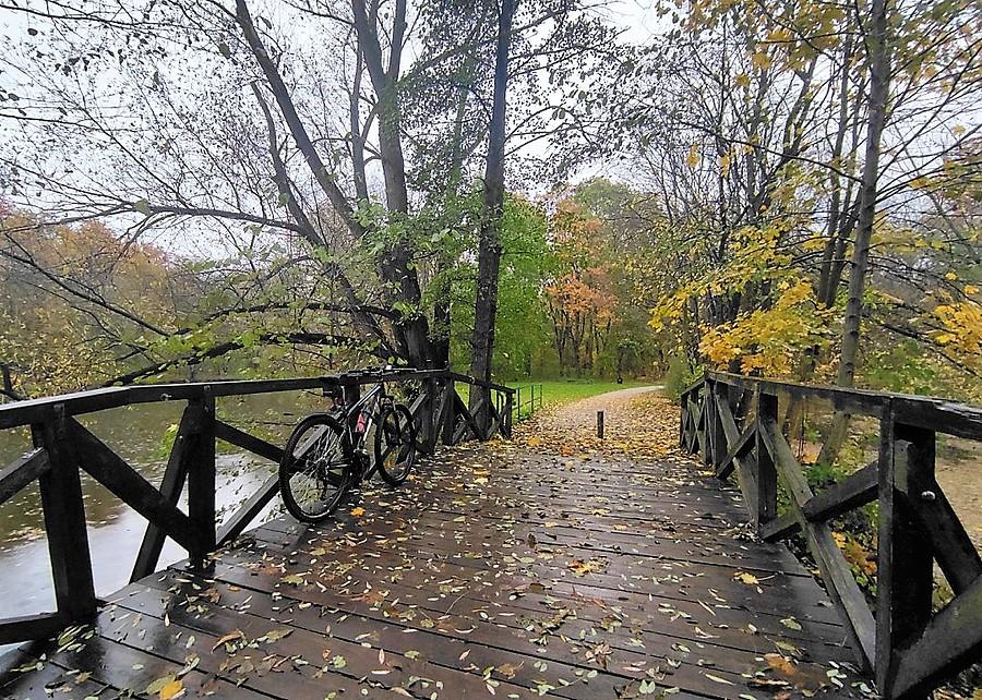 Mostek na poznańskiej Dębinie