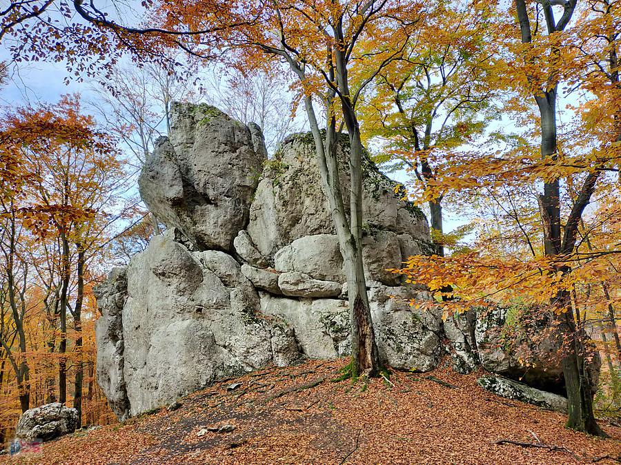 Pielgrzym - Sokole Góry