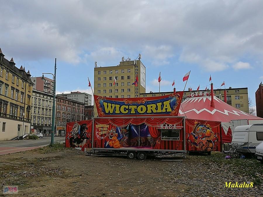Cyrk w Bytomiu