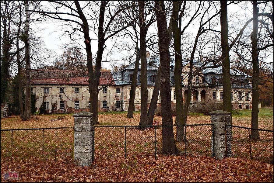 Pałac w Minkowskie
