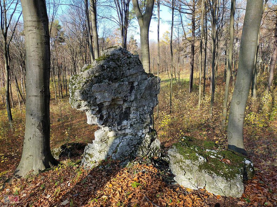 Kamienne Górki (Sokole Góry) - skałka Ogryzek (nazwa moja)