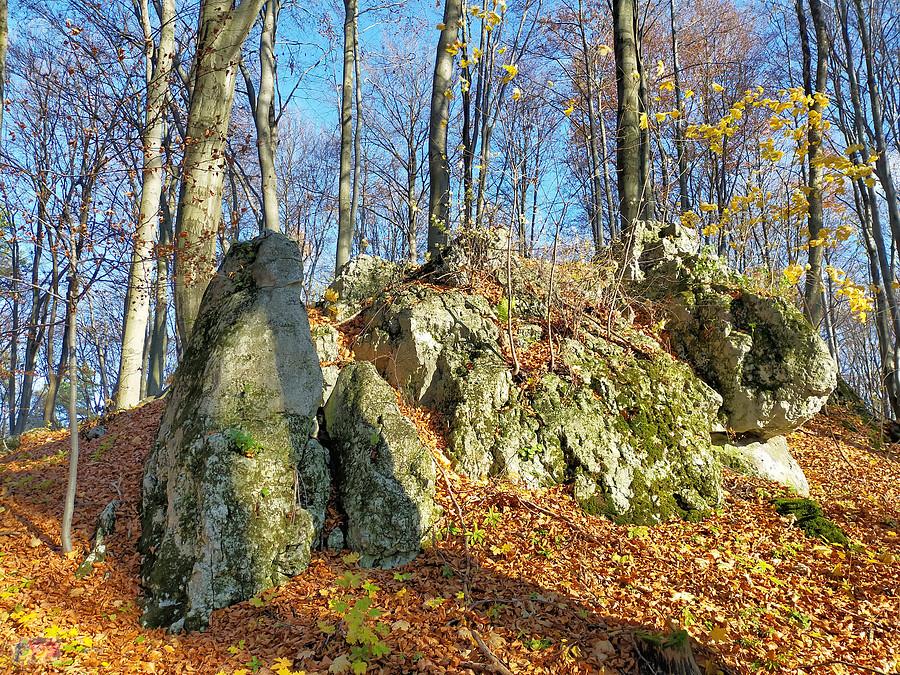 Skałki na Kamiennych Górkach - Sokole Góry