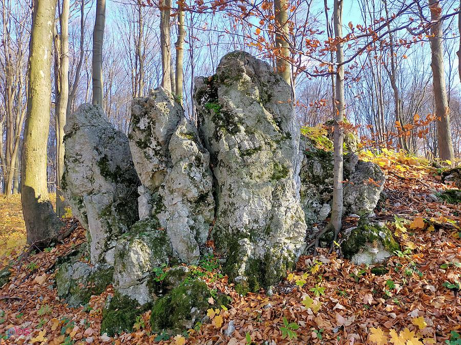 Skałki "Trzy Korony" na Kamiennych Górkach (nazwa skałek moja)