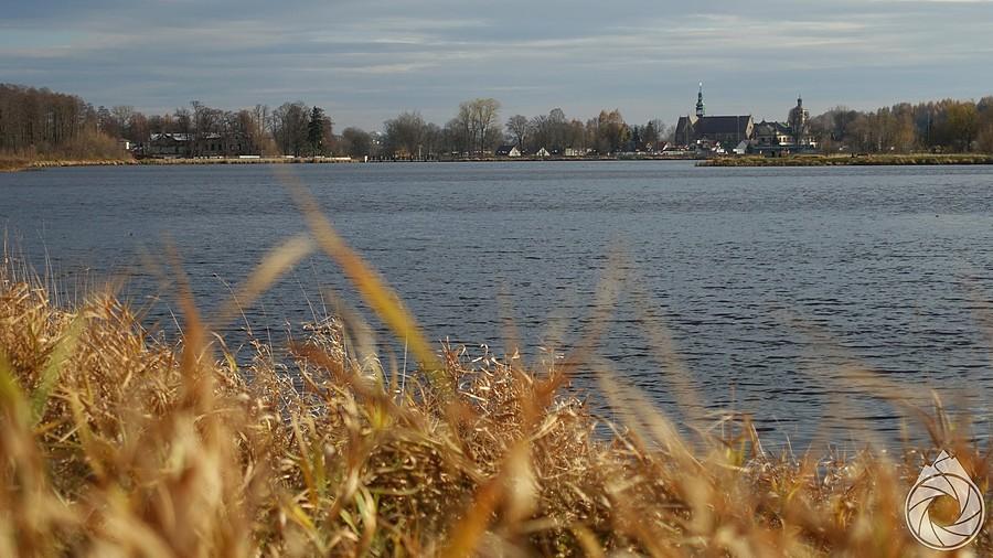 wąchocka kałuża