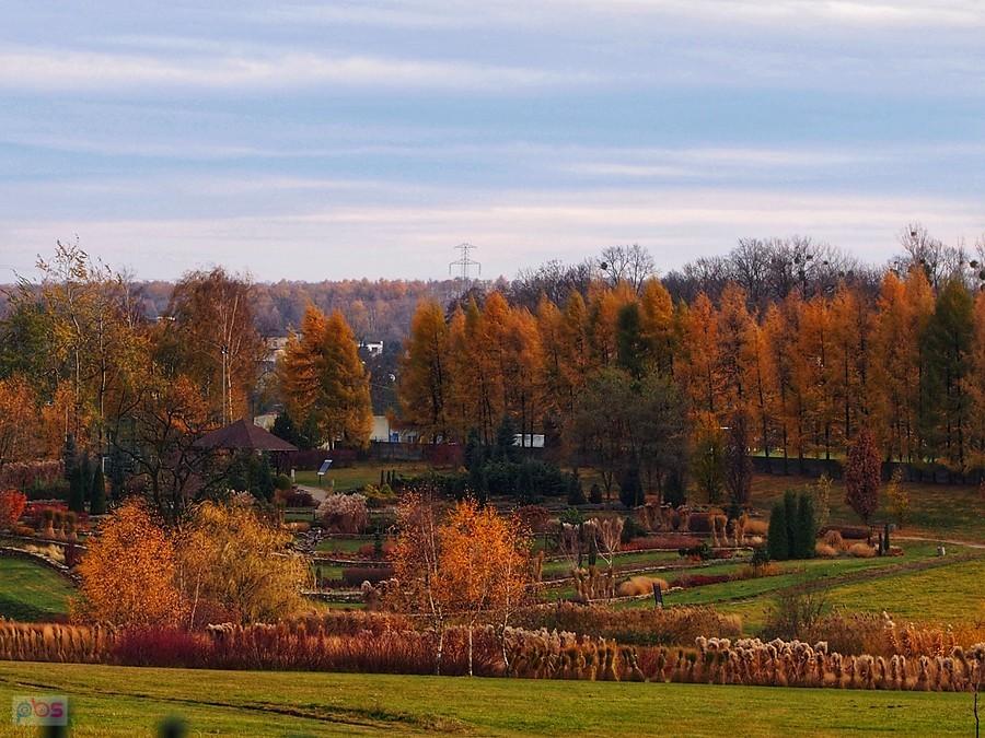 Śląski Ogród Botaniczny w Mikołowie