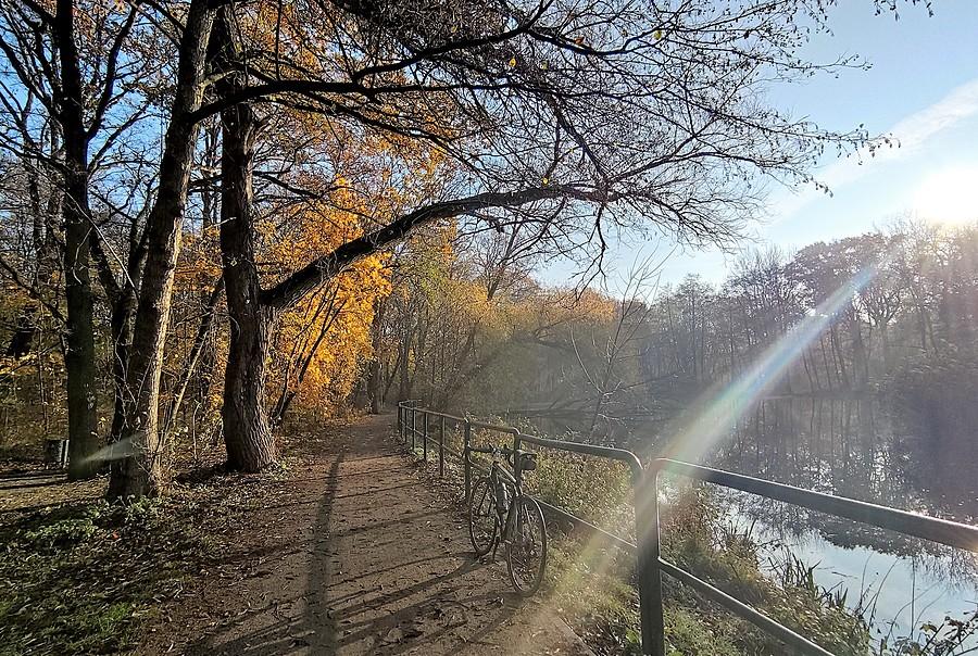 Słoneczny poranek na poznańskiej Dębinie
