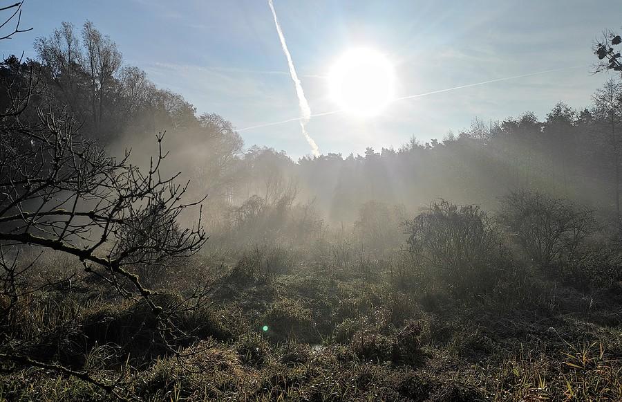 Słońce nad moczarami