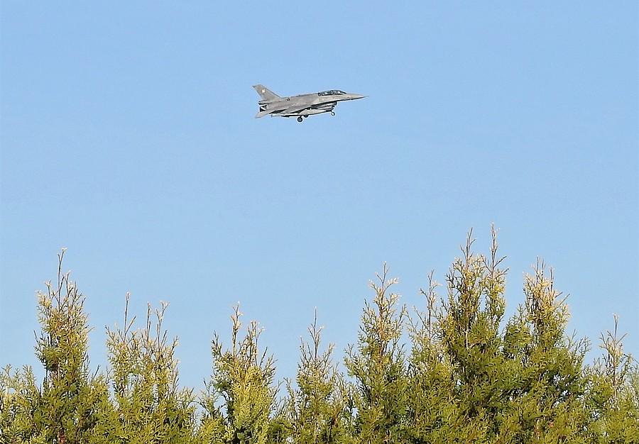 F16 ponad drzewami