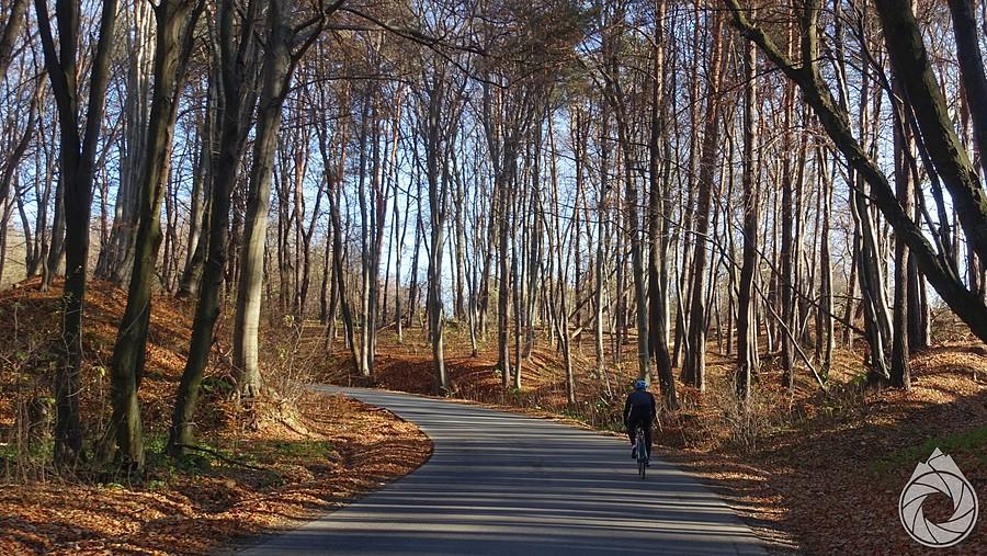 boczny podjazd gdzieś nad Smardzowice