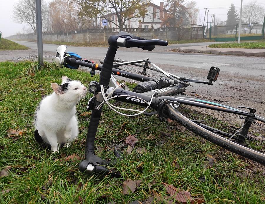Miłośniczka roweru :)