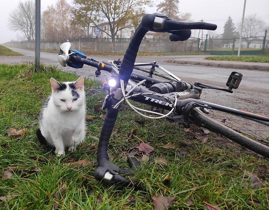 Rowerzystka oświecona :)