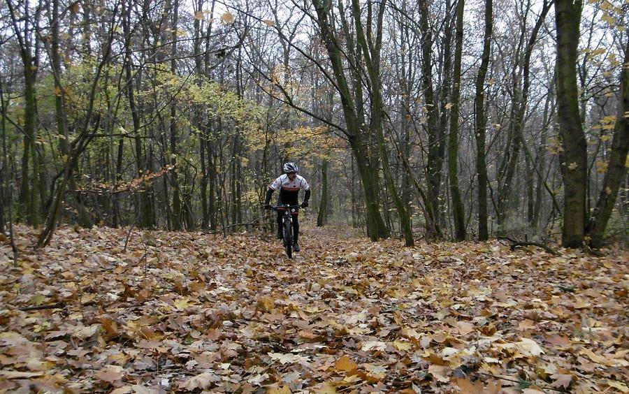 W 100% listopadowe mtb-owanie