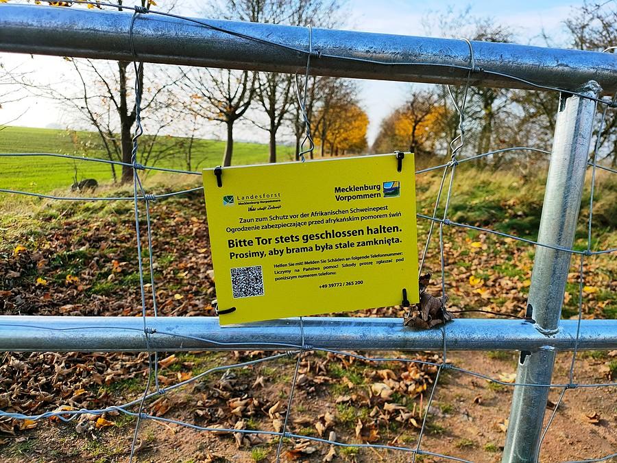 Płot przeciwko rozprzestrzenianiu się ASF na granicy