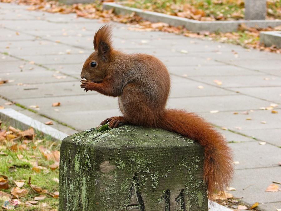 Figura można powiedzieć, nienaganna