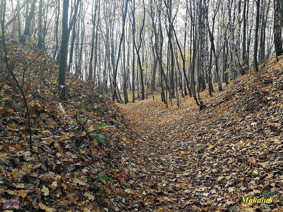 Doły Piekarskie