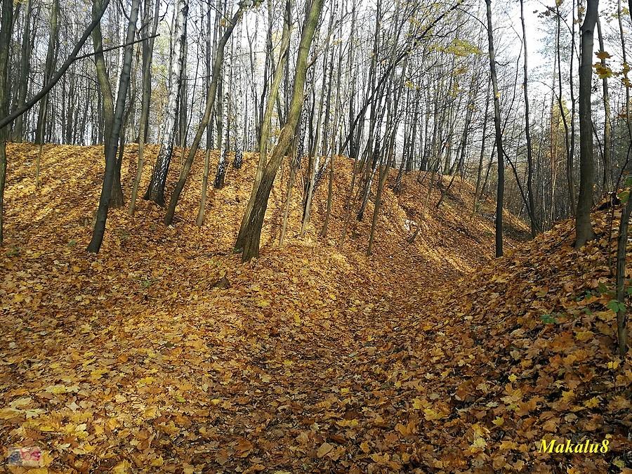 Doły Piekarskie