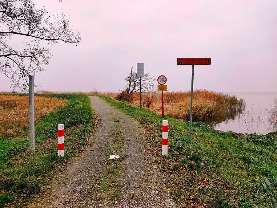 Blue Velo na wyskości Skoszewa