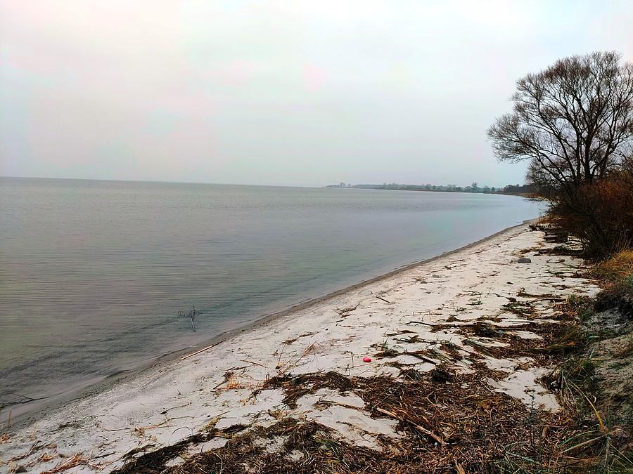 Plaża przy Blue Velo w Zatoce Skoczewskiej