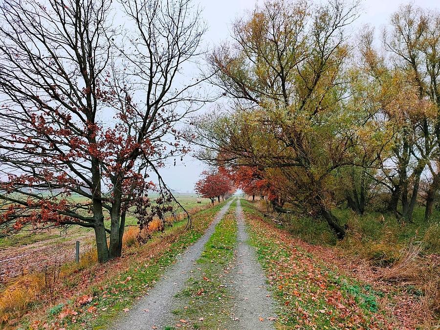 Park Natury Zalewu Szczecińskiego